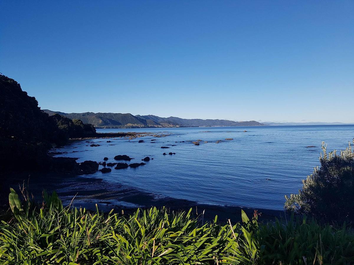 Te Kaha Beach Hotel 외부 사진