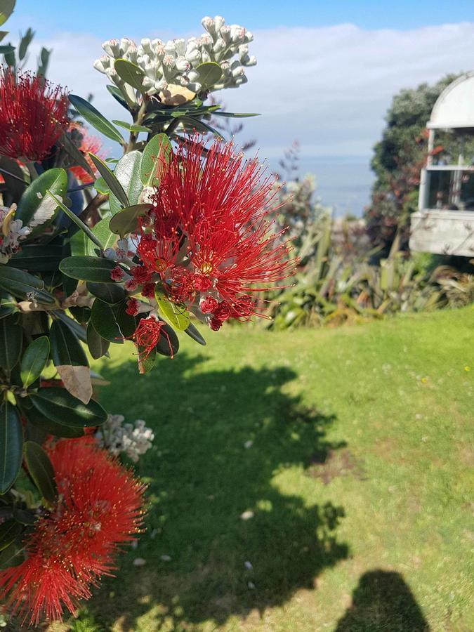 Te Kaha Beach Hotel 외부 사진